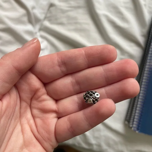 Silver Charm Pandora - Picture 2 of 3